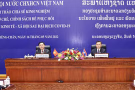 Vietnamese, Lao NAs share experience in designing post-pandemic socio-economic recovery policies