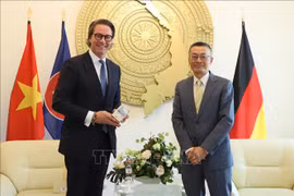 Large room for Vietnam, Germany to boost cooperation: parliamentarian