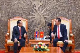 Inspectorates of Vietnam, Laos work to advance ties