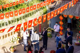 Tet away from home of Vietnamese expats in Australia