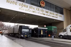 Vietnam exports 287 tonnes of farm produce to China through Lao Cai from Feb.1-3