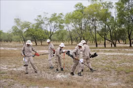 Quang Tri clears over 275 mln sq.m of mine fields