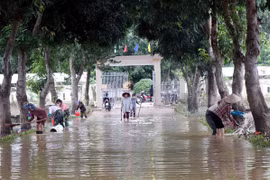 Dispatch guides localities on disaster preparation