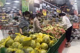 HCM City’s CPI edges up 0.86 percent in February