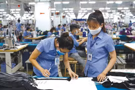 Vietnam contributes importantly to ASEAN’s economic growth: ASEAN Deputy Secretary-General