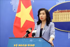 Vietnam rejects some int’l NGOs’ prejudices on human rights situation