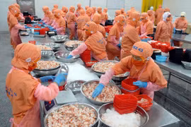 Vietnamese export increases in both quantity, quality