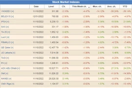 Vietnamese stock market loses 20.2 billion USD in first half of November