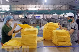 HCM City needs as many as 150,000 workers to year end
