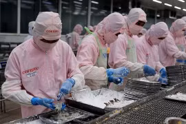 Vietnam's new import-export revenue record set