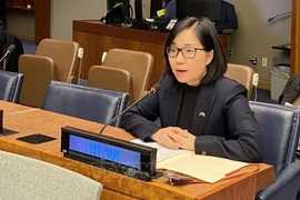 Vietnam highlights importance of decolonisation at UN committee’s session