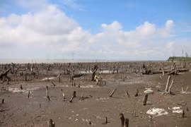 Ben Tre faces increasing erosion