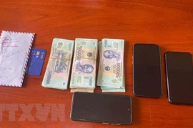 Criminal cases drop, online frauds rise in HCM City