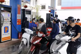 Ministry proposes schemes for fuel environmental tax next year