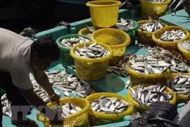 Kien Giang’s exports climb 7.7 percent in Q1