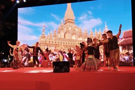 Laos National Art Troupe performs in Quang Nam