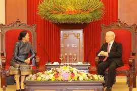 Vietnam always gives highest priority to relations with Laos: Party chief