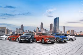 Auto market grows slightly last year
