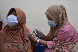UN praises Indonesia’s achievements in fighting COVID-19
