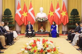 Vice President meets with Danish Crown Prince