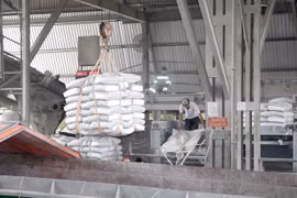 Vietnam has huge potential for co-processing of waste in cement industry