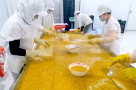 Food exporters urged to evolve to tap into large markets