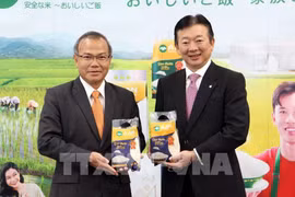 Vietnam’s famous rice gains access to Japan