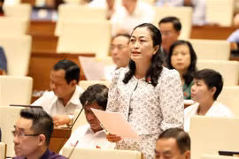Draft laws continue dominating NA session