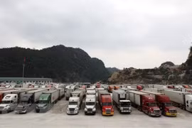 Ministries, localities tasked with handling cargo congestion