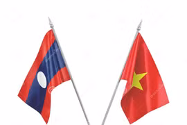 Vietnam, Laos enjoy 24.2% rise in two-way trade in 7 months