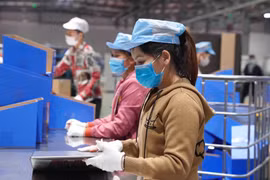 Ministry plans e-employment records for working-age people
