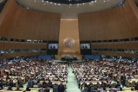 Vietnam calls for eliminating all forms of discrimination against women, girls