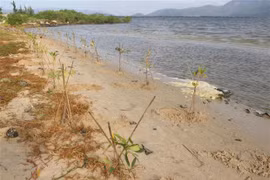 Ministries earmark 70 percent of budget for climate change adaptation: workshop 