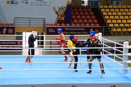 SEA Games 31: Vietnam’s kickboxers target at least four gold medals