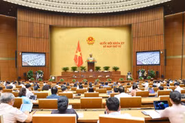 More regulations needed to ensure consumers' rights in non-conventional business models