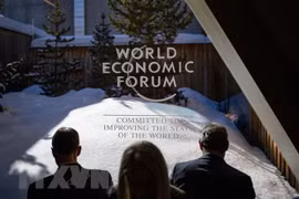 Vietnam to introduce national development strategies at 2022 Davos WEF: Ambassador
