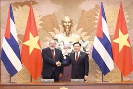 National Assembly Chairman vows to work closely with Cuban legislature 