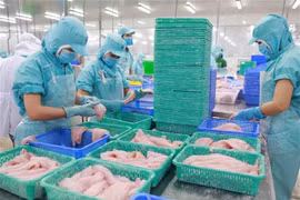 Enterprises urged to make preparations to take opportunities from RCEP