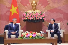 Top legislator welcomes Japanese firm’s interest in clean energy development in Vietnam