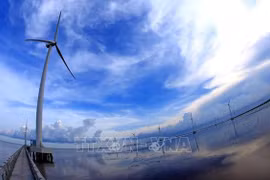 UN special adviser hails Vietnam’s role in global climate change response
