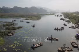 Vietnam joins efforts to restore ecosystems