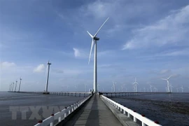 National power development plan VIII targets drastic CO2 emissions reduction