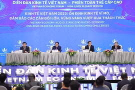Australia stands side by side with Vietnam in energy transition: acting deputy ambassador