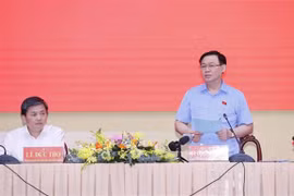 Top legislator pays pre-Tet visit to Ben Tre
