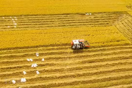 Mekong Delta needs to change mindset in agricultural development: PM