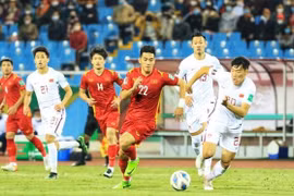 2022 expected to be fruitful year for Vietnamese sports