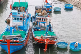 Seafood output hits 566,700 tonnes in three months