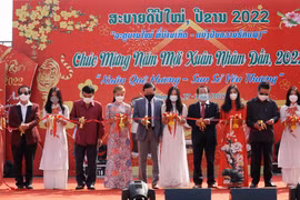 Spring fair brings Tet atmosphere to Vietnamese in Laos