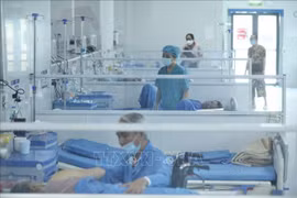 Vietnam reports 1,381 new COVID-19 cases on August 7
