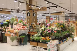  Vietnam’s flowers gain foothold in Japanese market